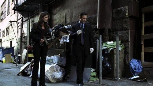 CSI: NY Season 1 Episode 2 - Creatures of the Night