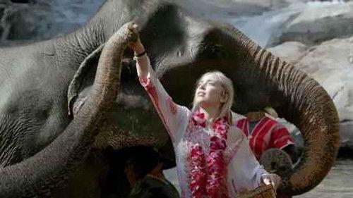 Planeta Calleja Season 11 Episode 6 - Episode 6