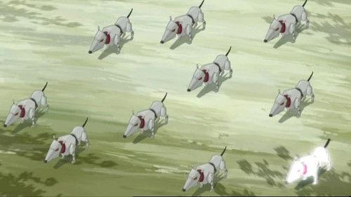 Code Lyoko Season 4 Episode 21 - Canine Conundrum