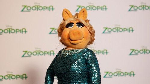 The Muppets Season 1 Episode 12 - A Tail of Two Piggies