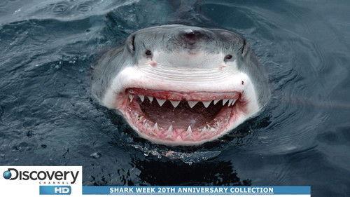 Edgemont Season 2 Episode 3 - Brothers and Sisters