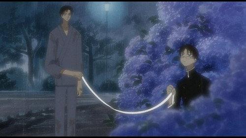 undefined Season 1 Episode 7 - Hydrangea