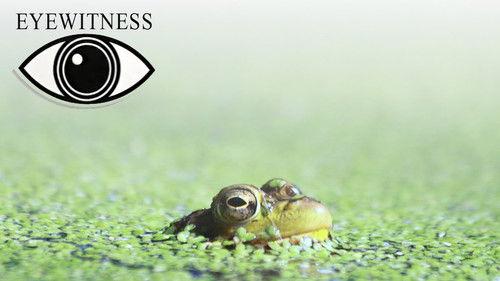 Eyewitness Season 2 Episode 6 - Pond and River