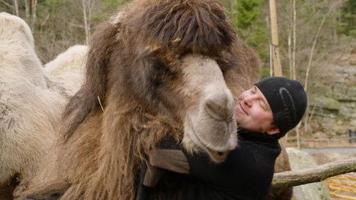 Dyrepasserne Season 12 Episode 1 - Episode 1