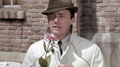 The Man from U.N.C.L.E. Season 3 Episode 5 - The Monks of St. Thomas Affair