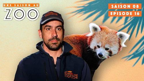 Une saison au zoo Season 8 Episode 16 - Episode 16