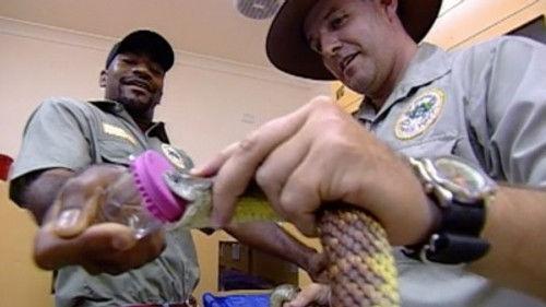 Road Rules Season 6 Episode 3 - Got Milk?