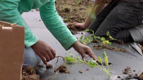 Marvel's Hero Project Season 1 Episode 19 - Astonishing Austin