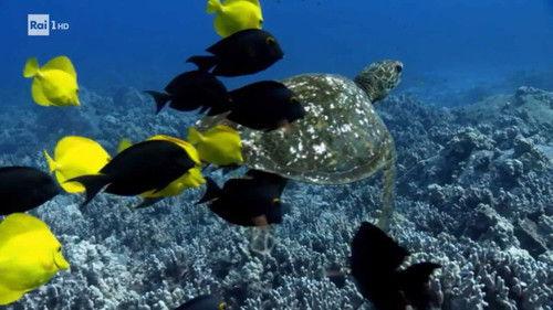 Superquark Season 26 Episode 8 - Resistant bacteria, the Entracque dam, expeditions and lunar bases