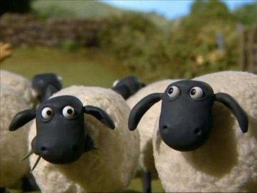 Shaun the Sheep Season 1 Episode 21 - Abracadabra