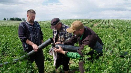 Dobra Robota Season 4 Episode 5 - Episode 5