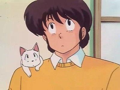 Maison Ikkoku Season 1 Episode 21 - Godai's Panic! The Cat Who Came to Ikkoku.