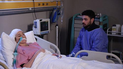 Wild Heart Season 2 Episode 15 - Episode 51