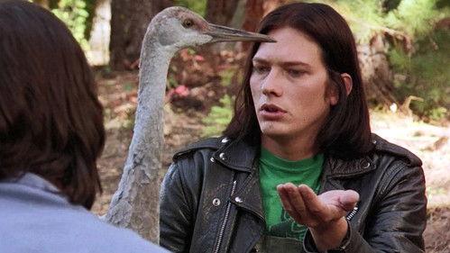 undefined Season 4 Episode 7 - The Bad Seed