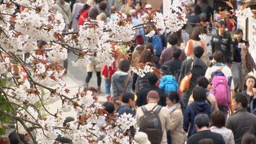 Journeys in Japan Season 12 Episode 21 - Creative Solutions Spark Rural Revival