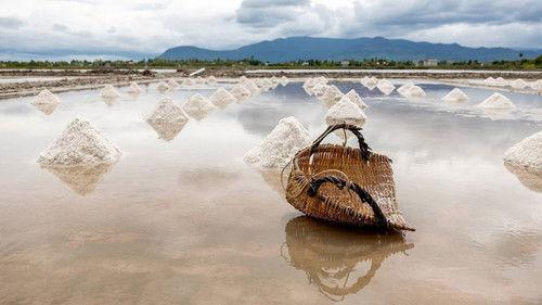 Wie is de Mol? Season 25 Episode 8 - Episode 8