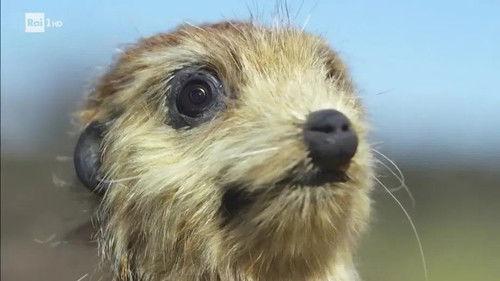 Superquark Season 24 Episode 4 - Episode 4