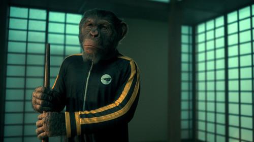 The Umbrella Academy Season 3 Episode 6 - Marigold