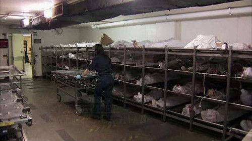 Frontline Season 29 Episode 7 - Post Mortem