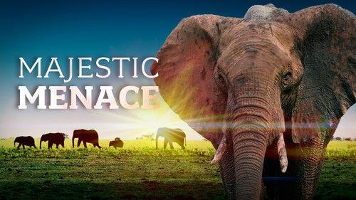 Foreign Correspondent Season 34 Episode 6 - Majestic Menace - Botswana