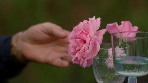 A French Village Season 7 Episode 12 - The Embarkment