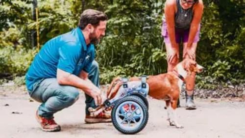 The Wizard of Paws Season 6 Episode 10 - Miracle in Honduras (Part 2)