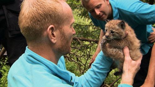 Dyrepasserne Season 6 Episode 7 - Episode 7