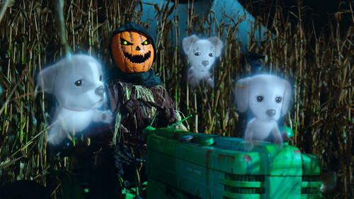 Phantom Pups Season 1 Episode 9 - Phantom Phright Fest