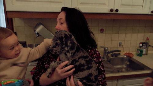 Een Huis Vol Season 14 Episode 3 - Episode 3