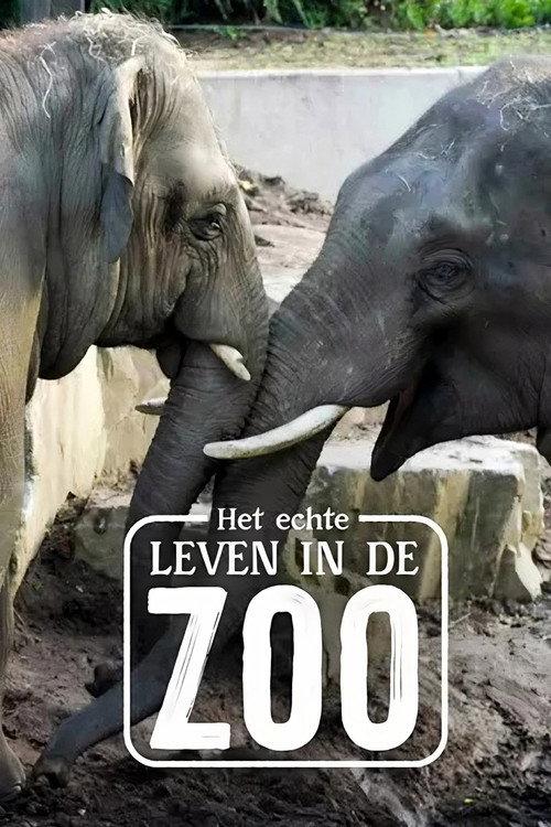 Het Echte Leven in de ZOO poster