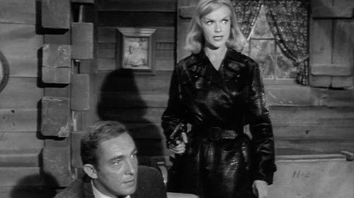 Honey West Season 1 Episode 12 - A Million Bucks in Anybody's Language