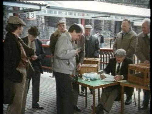 Minder Season 8 Episode 7 - A Bird in the Hand is Worth Two in Shepherd's Bush