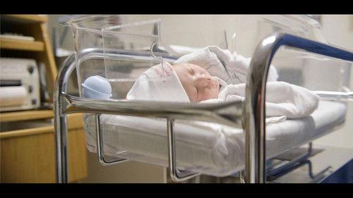 POV Season 36 Episode 14 - How to Have an American Baby