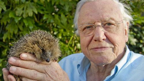 David Attenborough's Natural Curiosities Season 2 Episode 2 - Armoured Animals