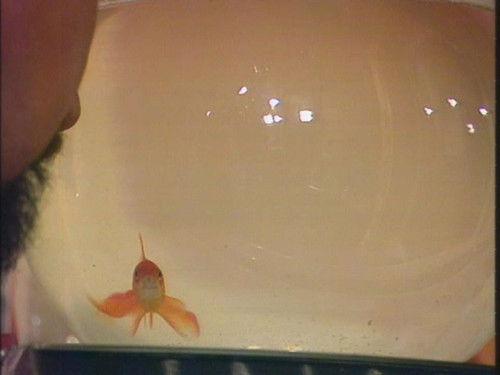 Merlina Season 1 Episode 6 - Episode 6