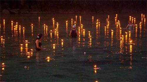 Wie is de Mol? Season 14 Episode 9 - Episode 9