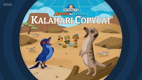 Octonauts: Above & Beyond Season 4 Episode 8 - Kalahari Copycat