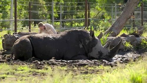 Crikey! It's the Irwins Season 1 Episode 13 - Tortoise First Date