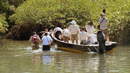 The Island with Bear Grylls Season 1 Episode 1 - Episode 1