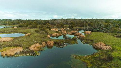 The First Inventors Season 1 Episode 1 - Design To Survive