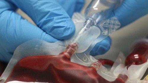 Les Mensonges de l'histoire Season 5 Episode 1 - Episode 1