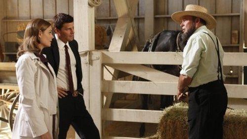 Bones Season 5 Episode 3 - The Plain in the Prodigy