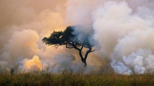 A Perfect Planet Season 1 Episode 3 - Weather