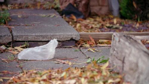 Rich House, Poor House Season 7 Episode 3 - Episode 3