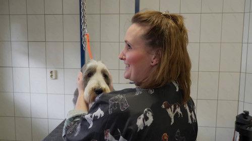 Een Huis Vol Season 18 Episode 4 - Episode 4