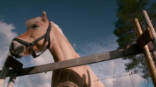 Torpet Kjendis Season 5 Episode 10 - Episode 10