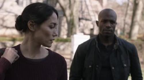 Hostages Season 1 Episode 13 - Fight or Flight