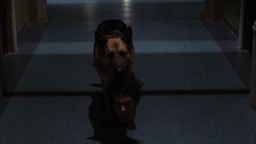 Stephen King's Kingdom Hospital Season 1 Episode 7 - Black Noise