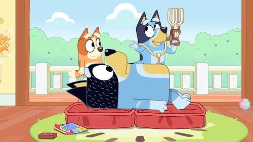 Bluey Season 1 Episode 2 - Hospital