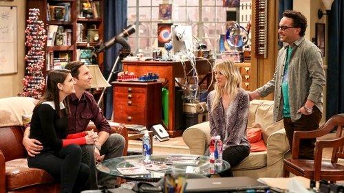 The Big Bang Theory Season 12 Episode 15 - The Donation Oscillation